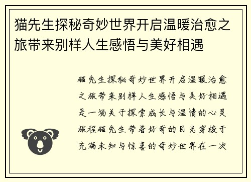 猫先生探秘奇妙世界开启温暖治愈之旅带来别样人生感悟与美好相遇
